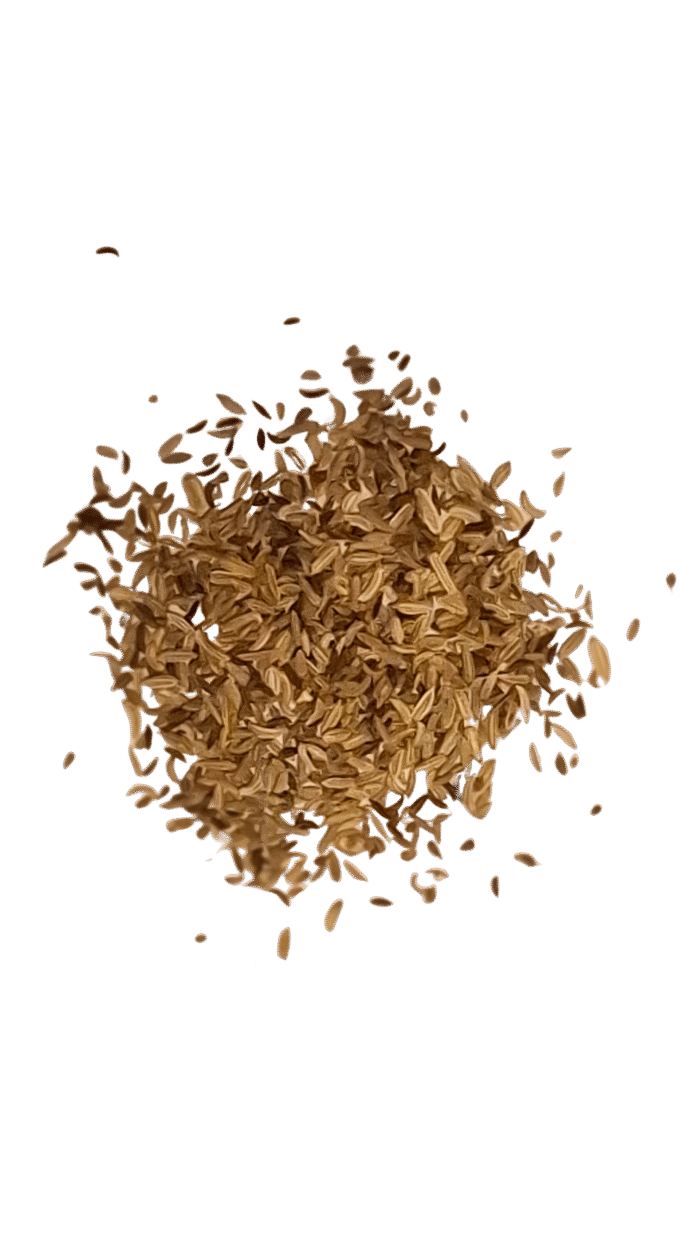 Fenchel, Anis, Kümmel ohne Aroma